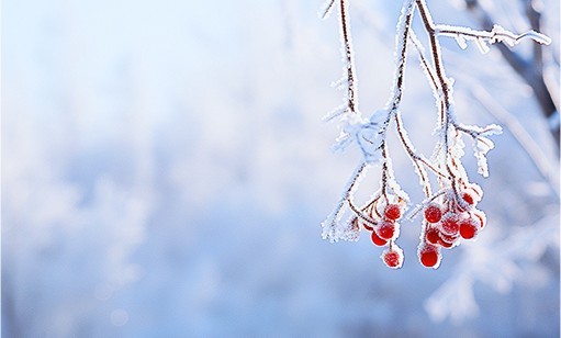 瑞雪兆豐年丨2024長沙初雪 航天DB旗舰環保雪景圖集