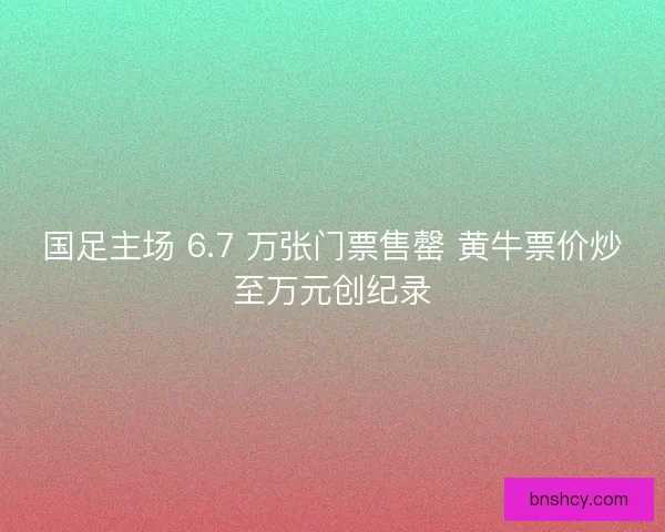 国足主场 6.7 万张门票售罄 黄牛票价炒至万元创纪录