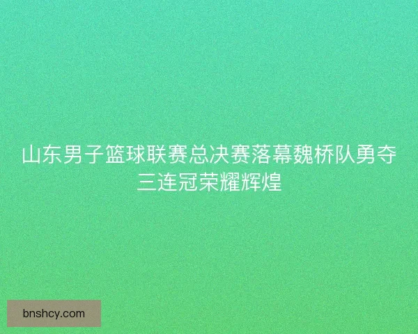 山东男子篮球联赛总决赛落幕魏桥队勇夺三连冠荣耀辉煌